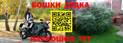 прущая мука Кимры